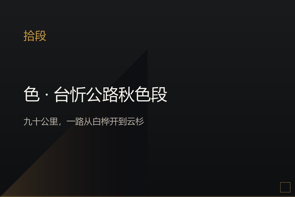 台忻公路秋色,白桦与落叶松
